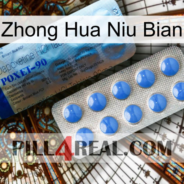 Zhong Hua Niu Bian 40.jpg